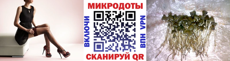 Псилоцибиновые грибы мухоморы  наркотики  Островной 