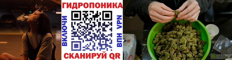Шишки марихуана семена  Островной 